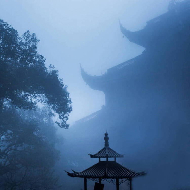 青木康直 - 无广告纯净版在线观看 - 小程序影视
